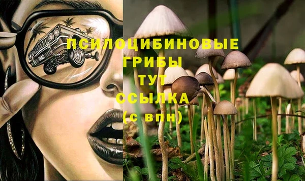 герыч Вяземский
