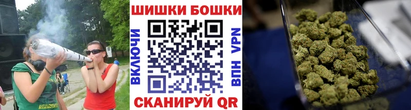 купить закладку  Заозёрск  Марихуана план 